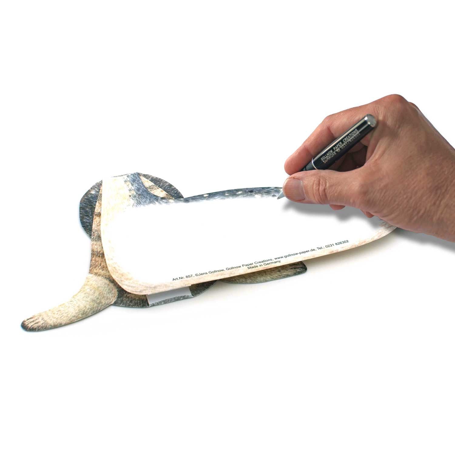 3D Tierfaltkarte Seehund