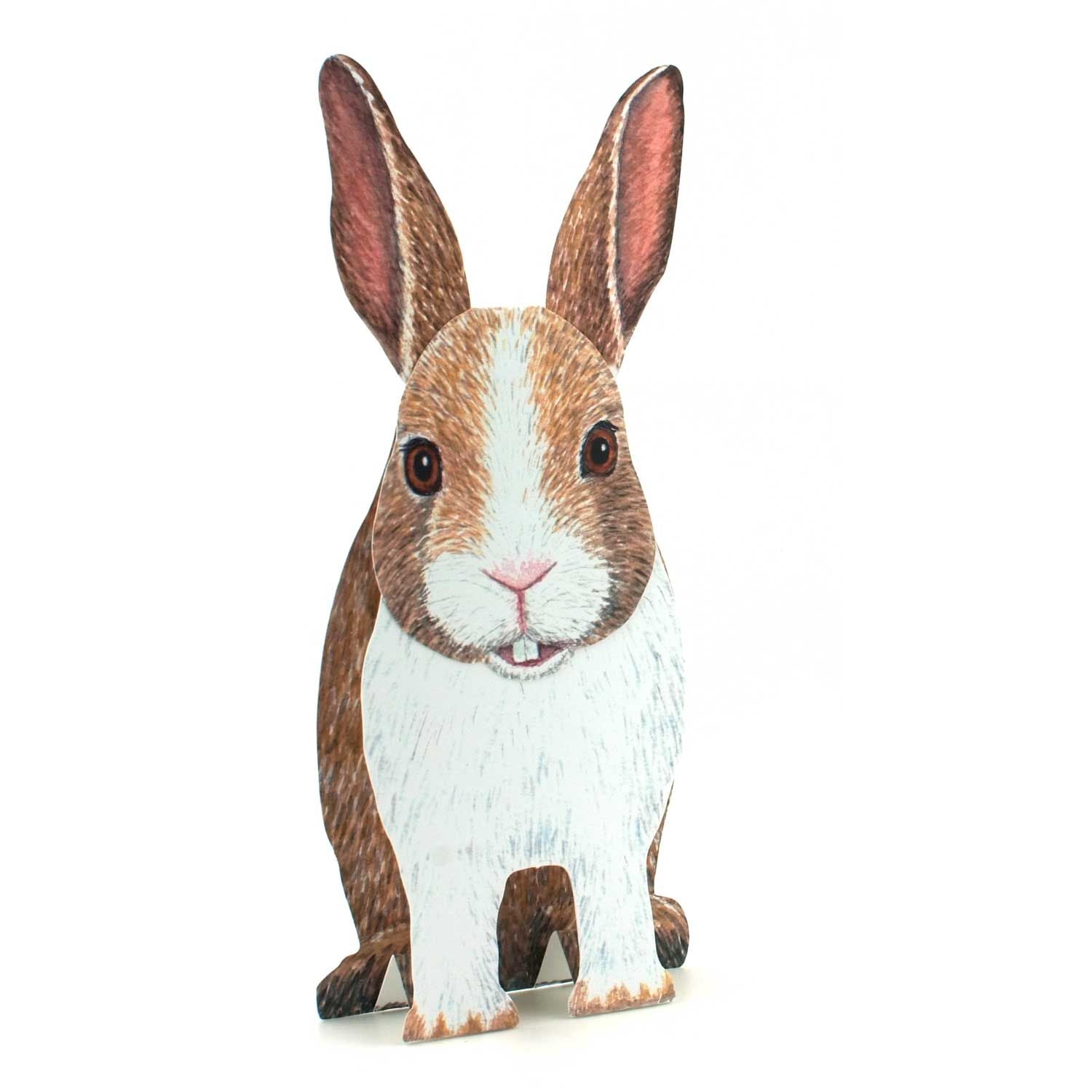 3D Tierfaltkarte "Hase"