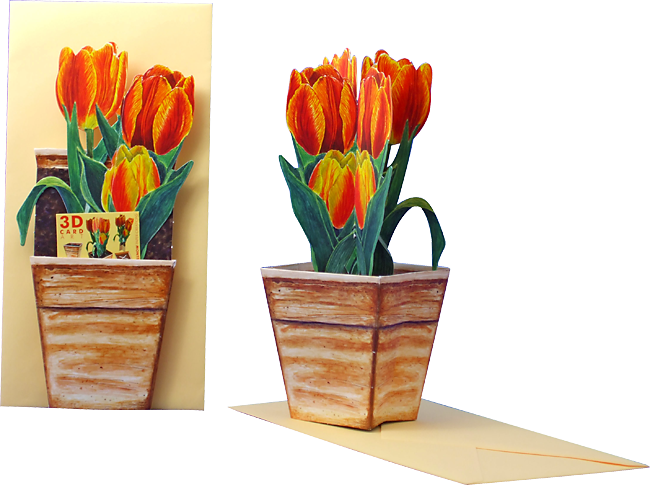 Carte pot de fleurs 3D "Tulipes"
