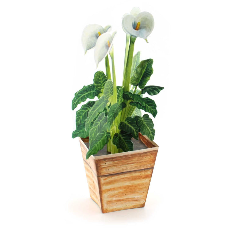 3D flower pot card "Kalla"