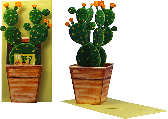 Carte pot de fleurs 3D "Cactus"
